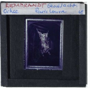 Rembrandt, Geschlachteter Ochse (Louvre, MI 169)
