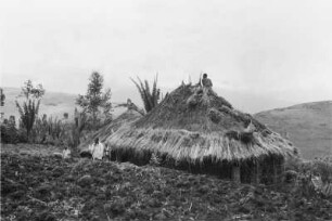 Amhara Hütte : Blick auf eine Hütte in einer Landschaft