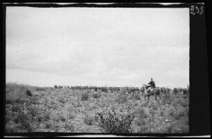 Gefecht bei Zoco el Tenain (=Zoco el Tenin (?)) und bei Beni Buiahi (?), am Fuße des "Monte Liata" (Provinz Nador, Marokko): Weite Steppe mit Infanteristen [des spanischen 8. Kavallerie-Regiments "Lusitania"] und 2 Reitern in dunklen Uniformjacken "im Vorgehen" (Distanzaufnahme und Rückansicht)