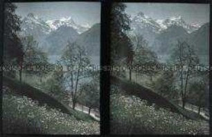 Blick von der Axenstraße am Urnersee im Kanton Uri