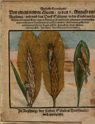 Wahrhaffte Contrafactur : Von einem newen Wurm, so den 1. August umb Augspurg, und umb das Dorff Schlipps, in der Erndt von den Schnittern an dem Korn ... gesehen worden