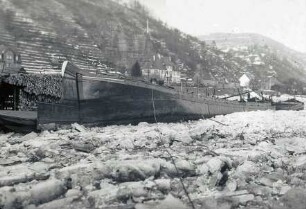 Eiswinter 1956 am Main