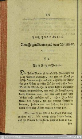 Funfzehendes Kapitel. Vom FeigenBaume und Weinstocke