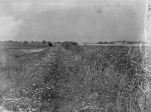 Unbekannter Ort. Blick von einem Feld auf den Ort