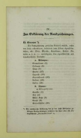 IV. Zur Erklärung der Randzeichnungen