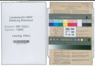 Entnazifizierung Heinz Leuning , geb. 05.04.1911 (Konstrukteur)