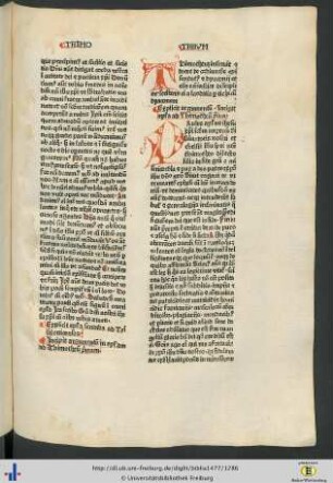 Argumentum in epistolam ad Thimotheum primam