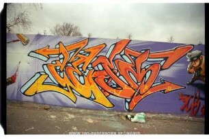 cESm | SiE DoME
