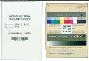 Entnazifizierung Gustav Schauenburg , geb. 07.05.1902 (Kohlenhaendler)