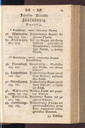 Fünfte Klasse. Fünfmännig