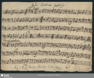 Stimmensatz [Schreiber: Opitz, J. S.]