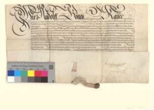 Assekuration Kaiser Rudolfs II. wegen der bewilligten Steuern und Türkenhilfe.