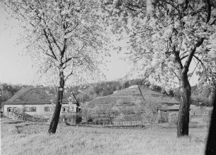 Dresden-Pillnitz, Bergweg 25/27. Altes Weingut und Preßhaus (Wohnhaus; 1801-1850). Talseite gegen Rysselkuppe