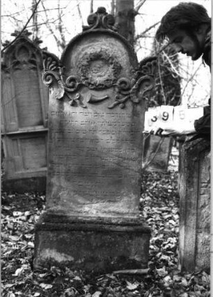 Grabstein 395 (Index: 99752642) Material: Sandstein Zustand: abgeblättert Maße HxBxT: 163x57x22 cm Beschreibung: Stele, profiliert. Sockel, eingezog. Rundbogenabschl. m. Mittel-u. Eckakroteren Symbolik: Schofar, Efeukranz, Ranken: Grabstein 395