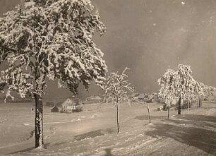 Reitzenhain. Landstraße im Winter