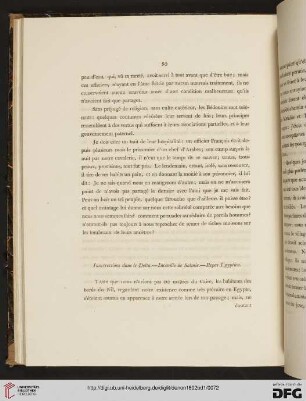 Insurrections dans le Delta. - Incendie de Salmie. - Repas Egyptien