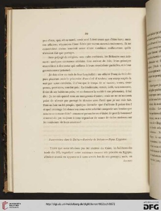 Insurrections dans le Delta. - Incendie de Salmie. - Repas Egyptien