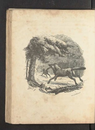 Tafel: [Der Wolf.]