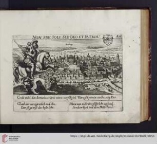 A12. Amberg, "Non sibi soli, sed deo in patriae"