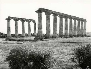 Griechischer Tempel bei Metaponte