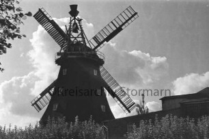 Braak: Braaker Mühle: vorn Hecke: hinten links Galerieholländer: rechts weiteres Mühlengebäude