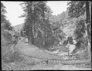 Mount Tamalpais, Kalifornien. Nearly a complete circle on Mt. Tamalpais Railway, Showing Gravity Car on way down the Mountain.