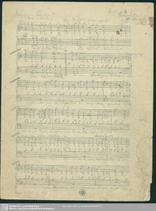 Dreizehnter Februar : Coro fanciulli; d; RMWV. 4/3