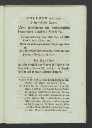 COLUBER austriacus. Oestereichische Natter.