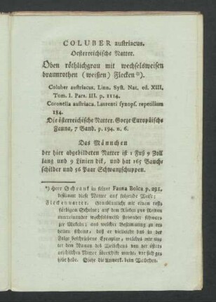 COLUBER austriacus. Oestereichische Natter.