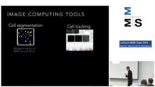 Computational models of stem cell decisions