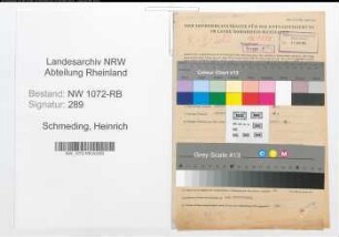 Entnazifizierung Heinrich Schmeding , geb. 17.12.1894 (Zimmermann)