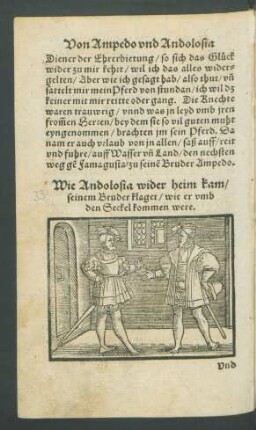 Wie Andolosia wider heim kam/ seinem Bruder klaget/ wie er umb den Seckel kommen were.