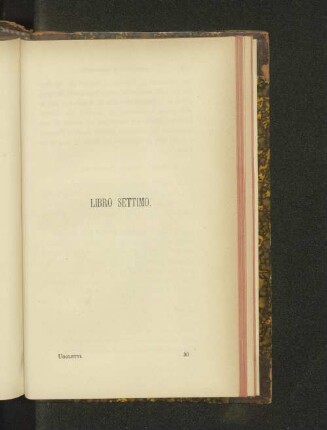 Libro settimo.