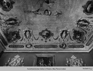 Die Ausmalung der Sala Consiliare : Triumph der Aurora (?) oder Flora (?), allegorischen Figuren und Landschaften