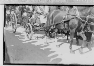 Landwirtschaftsausstellung Sigmaringen; Pferdekutschen