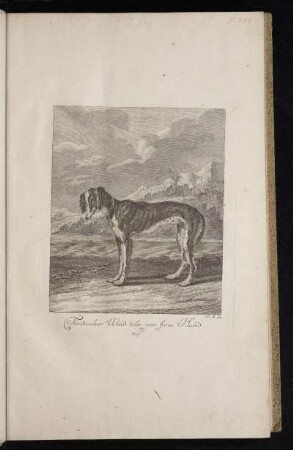 Türckischer Wind oder par force Hund. N. 9.