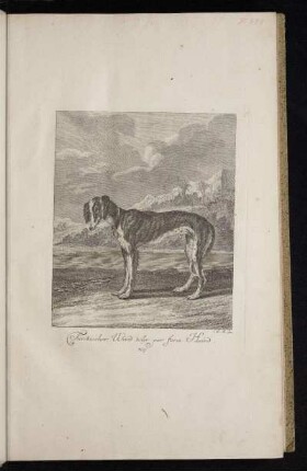 Türckischer Wind oder par force Hund. N. 9.