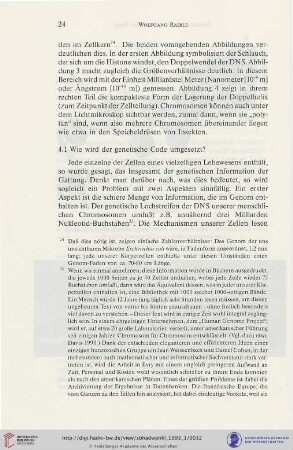 4.1 Wie wird der genetische Code umgesetzt?