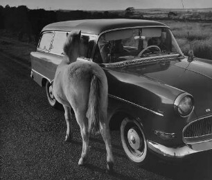 Archivfotografie "ausland_wales_on"