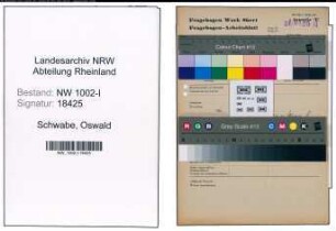 Entnazifizierung Oswald Schwabe, geb. 02.01.1912 (Ingenieur)