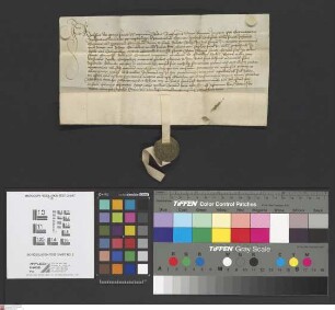 Seligenstadt: Adolphus Moguntine sedis archiepiscopus Symoni Heydeck scolastio ecclesie S. Johannis civitatis Moguntine commissario in negotio per...