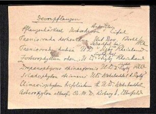 Handschriftliche Notiz über Devonpflanzen