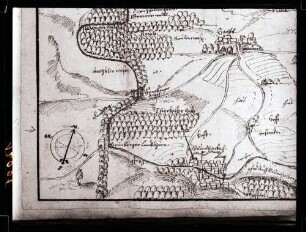 Ansicht 1607 in hohenlohischen Wildbannbeschreibung