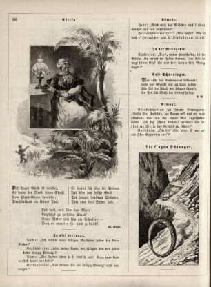 "Afrika!" "Die klugen Schlangen"