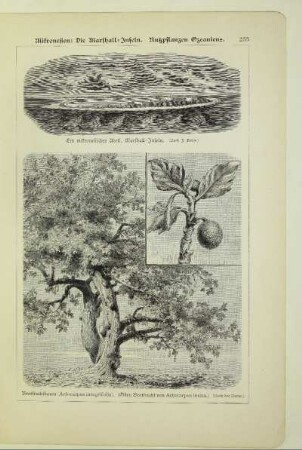 Ein mikronesisches Atoll, Marshall-Inseln