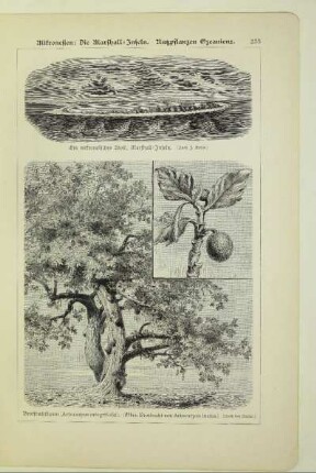 Ein mikronesisches Atoll, Marshall-Inseln