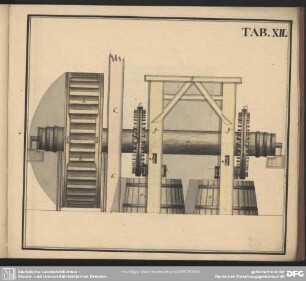 Tab. XII
