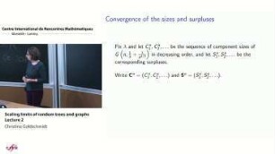 Scaling limits of random trees and graphs - Lecture 2