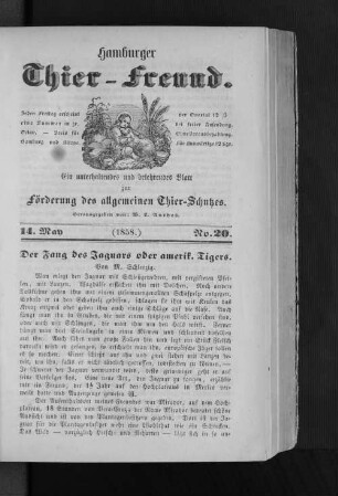 Der Fang des Jaguars oder amerik. Tigers.