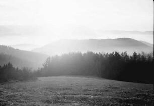 St. Peter; Lindenberg: Talnebel über dem Dreisamtal; vom Lindenberg